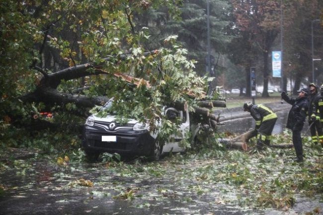 L'albero cade per il maltempo e schiaccia l'auto in transito. Miracolosamente illeso un uomo - CasertaCE