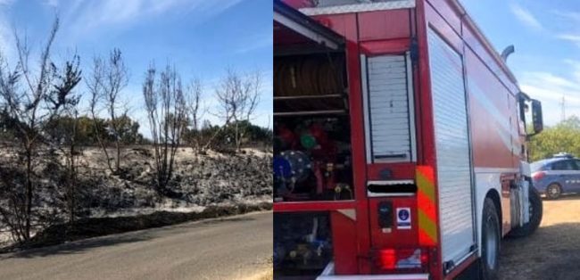 LE FOTO. Le fiamme rischiano di far saltare il traliccio dell'alta tensione - CasertaCE