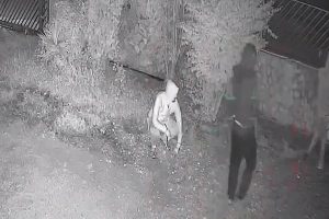 IL VIDEO. CASERTA. Tre giovani ladri provano il colpo grosso in una villa in periferia - CasertaCE