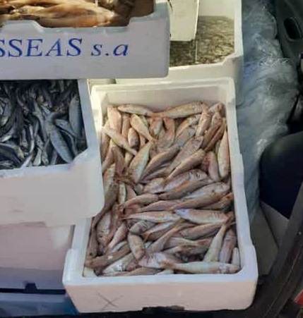 LA FOTO. Blitz al mercato, sequestrati e distrutti 60 chili di pesce pronto per essere venduto
