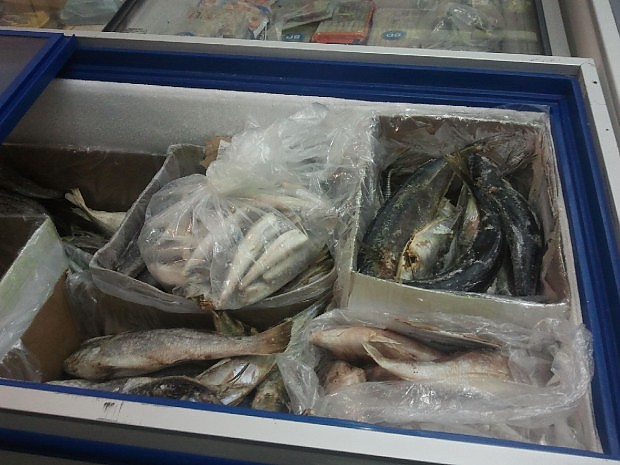 Sequestrate tonnellate di pesce scaduto nel 2015. Era pronto per essere venduto nelle feste di Natale - CASERTACE