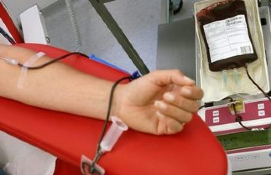 CASERTACE - CORONAVIRUS. L'appello di Marilena Natale: "Manca il sangue per i piccoli pazienti, serve l'aiuto di tutti"