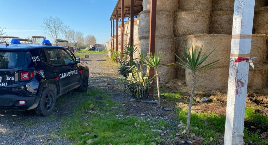 LA FOTO. INQUINAMENTO AMBIENTALE. Sequestrato allevamento di bufale, denunciati i fratelli titolari - CasertaCE